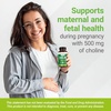 image:imageNested Naturals Choline Bitartrate 500mg Per Serving  High Potency Choline Supplements  Supports Prenatal Maternal amp Fetal Health During Pregnancy  100 Vegan amp NonGMO  2Pack 180 Capsules90 Count Pack of 1