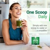 image:imageNested Naturals Super Greens Daily Superfood Powder  Certified USDA Organic Green Powder wWhole Foods Spirulina Powder Wheat amp Barley Grass  Probiotics Fiber amp Enzymes  Original 60 ServingsUnflavoured