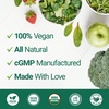 image:imageNested Naturals Super Greens Daily Superfood Powder  Certified USDA Organic Green Powder wWhole Foods Spirulina Powder Wheat amp Barley Grass  Probiotics Fiber amp Enzymes  Original 60 ServingsOriginal