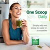 image:imageNested Naturals Super Greens Daily Superfood Powder  Certified USDA Organic Green Powder wWhole Foods Spirulina Powder Wheat amp Barley Grass  Probiotics Fiber amp Enzymes  Original 60 ServingsPineapple Mango
