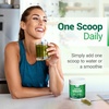 image:imageNested Naturals Super Greens Daily Superfood Powder Original 30 Servings amp Choline Bitartrate 90 Capsules